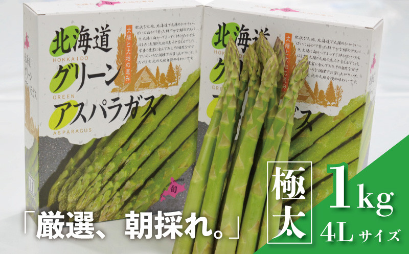 
                  北海道産 春採り 極太グリーンアスパラガス4Lサイズ 1kg  おがファーム　E027
                