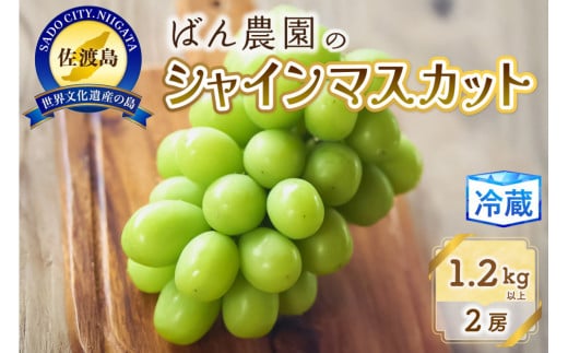 
            シャインマスカット2房1.2Kg以上　佐渡島産
          