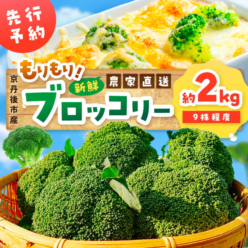 【ふるさと納税】【先行予約】もりもり！ブロッコリー 約2kg（2025年11月中旬～発送） 9株程度 冷蔵 農家直送 ぶろっこりー 野菜 京野菜 新鮮 生産者応援 農家応援 送料無料