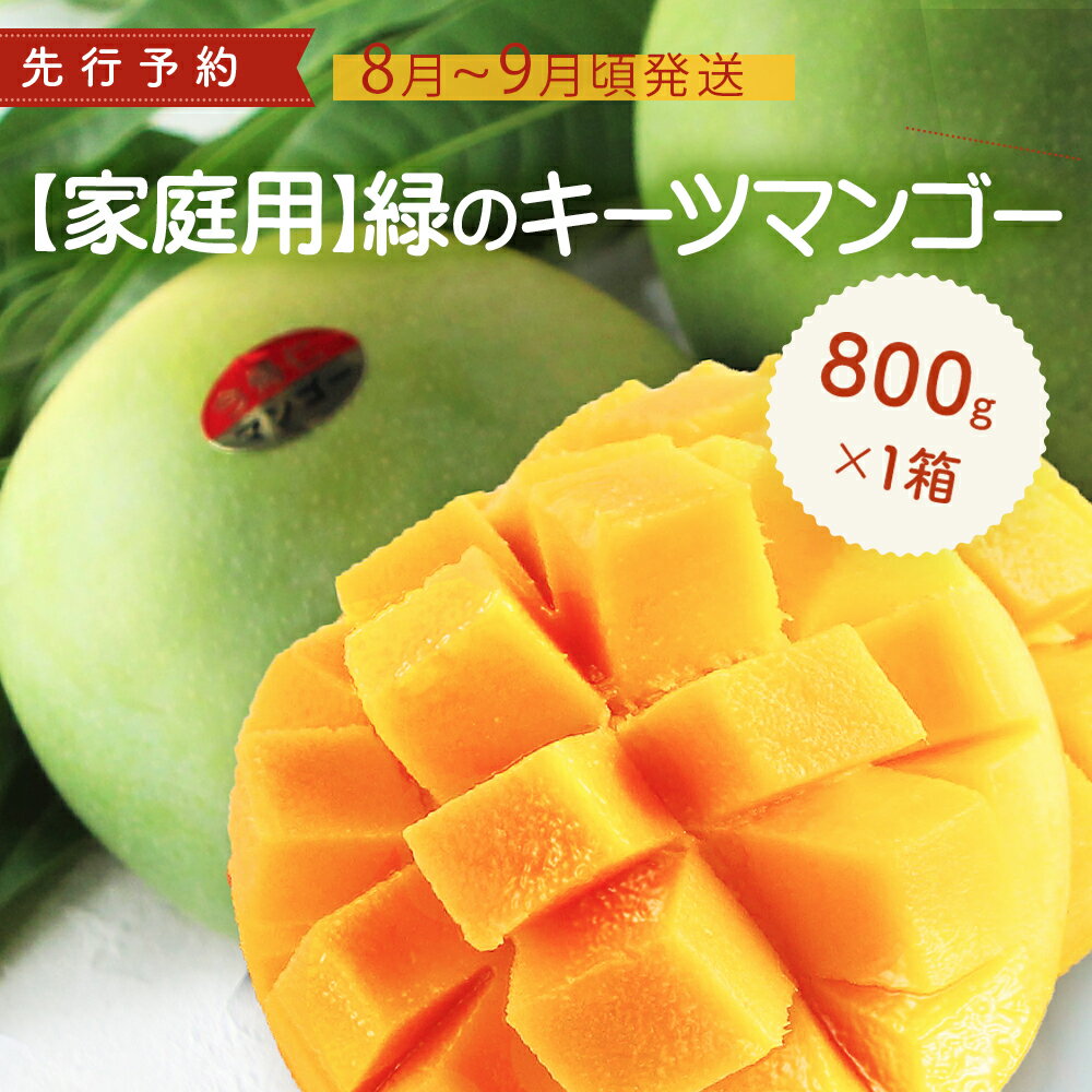 【ふるさと納税】 【家庭用】緑のキーツマンゴー800g以上【2025年9月頃発送】