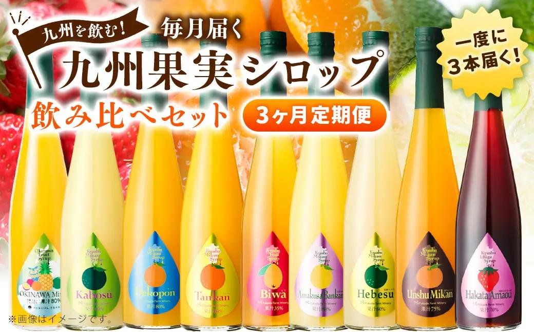 【3ヶ月定期便】 九州を飲む！毎月届く 九州果実シロップ 飲み比べセット 500ml×3本×3回 果物 フルーツ ジュース