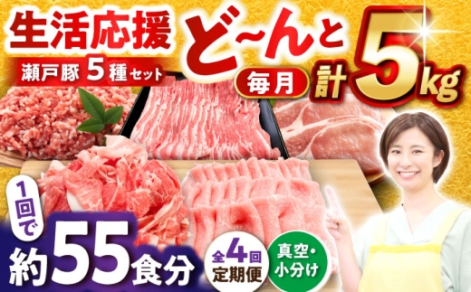 【全4回定期便】 瀬戸豚 生活応援セット 計5kg / 豚肉 豚バラ しゃぶしゃぶ ミンチ セット 小分け / 瀬戸市 / 関屋精肉店 [BBBQ229]