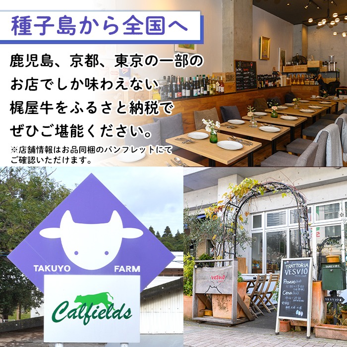 n375 種子島産黒毛和牛！梶屋牛冷凍生ハンバーグ(10個) 黒毛和牛 牛肉 国産 九州産 鹿児島県産 肉 ビーフ ハンバーグ 冷凍 小分け 簡単調理 天然飼料 サステナブル 和牛 お祝い 【株式会社