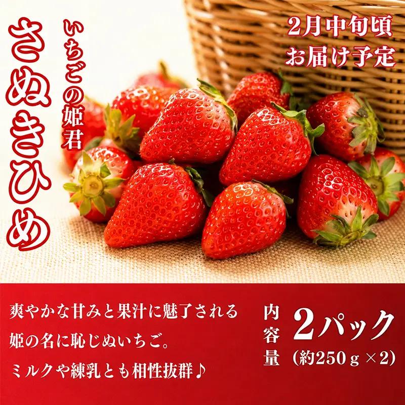 フルーツ定期便 3回 フルーツ いちご もも シャインマスカット