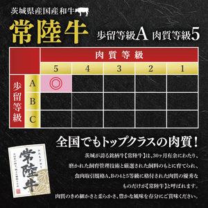 【4か月定期便】A5ランク常陸牛＆美明豚　食べ比べ　定期便コースA（EK-81）