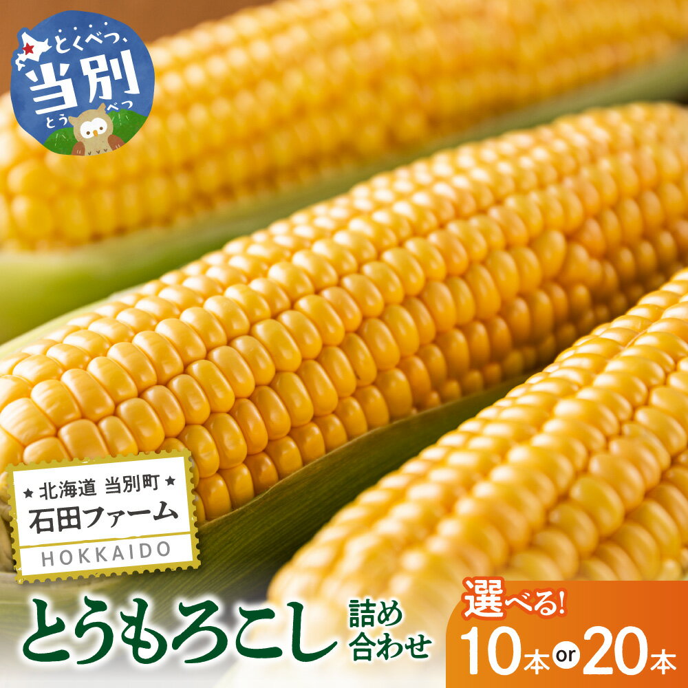 【ふるさと納税】【先行予約】石田ファーム とうもろこし詰め合わせ 10本 20本セット【2026年8月上旬～9月中旬出荷予定】【数量限定】朝採り 野菜 新鮮 夢のコーン 甘獲娘 スターダスト 恵味ゴールド 恵味スター ほしつぶコーン わくわくコーン ロイシーコーン
