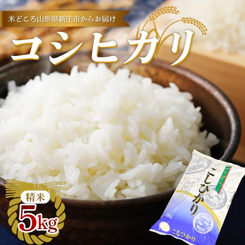 【ふるさと納税】 【令和8年産】 新庄産米 コシヒカリ 精米 5kg お米 コメ F3S-2771
