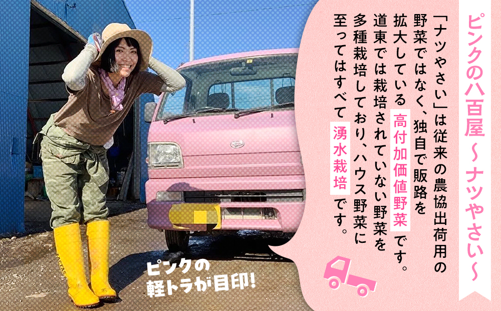 【R7年早期受付】 8月の旬 トウモロコシ 5〜6本 ピンクの八百屋〜ナツやさい〜 | とうもろこし トウモロコシ ゴールドラッシュ 旬 新鮮 野菜 夏 甘い 産地直送 北海道 津別町 送料無料