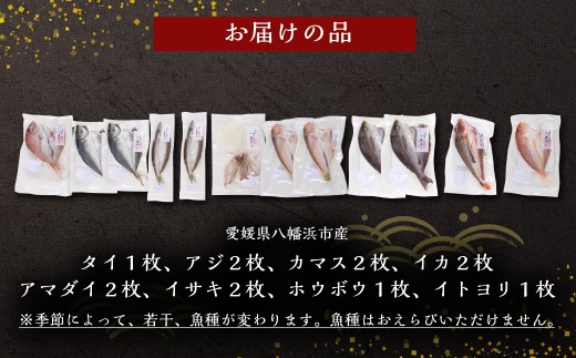 無添加・天日干しピチピチ朝獲れ鮮魚の一夜干し13枚セット【H26-4】 YWTAK004