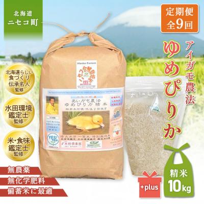 ふるさと納税 ニセコ町 《数量限定先行受付!令和8年産米》【9回定期便】ゆめぴりか胚芽米仕様精米10kg【3117002】