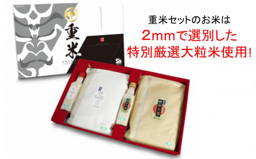 新米先行予約【令和6年産新米】コシヒカリ 3.3kg・新之助 3.3kg 食べ比べセット（計 6.6kg） 重米セット [Y0085]