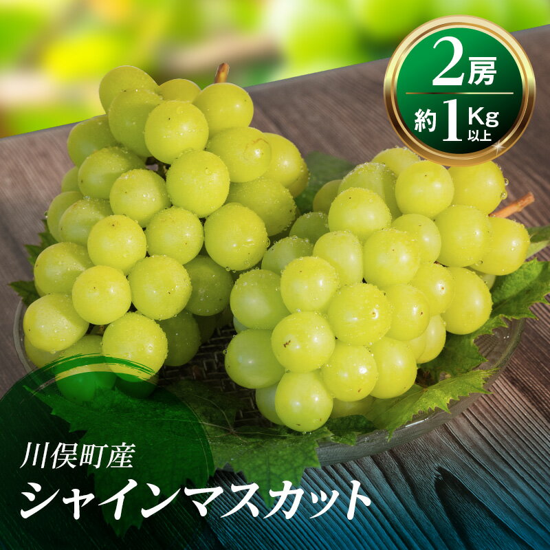 【ふるさと納税】【先行予約】川俣町産 シャインマスカット 2房 約1kg以上 FAF-0061