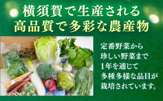 【全6回定期便】よこすか野菜セット すかなボックス 野菜 お野菜 季節野菜 やさい 詰め合わせ 詰合せ セット お楽しみ 産地直送 旬 厳選 すかなごっそ 農産物 神奈川県 横須賀市 定期 定期便【J
