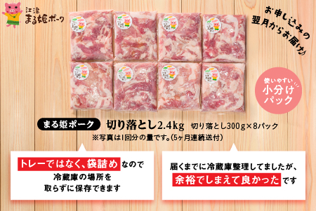 【 5ヶ月 定期便 】 まる姫ポーク 豚肉 切り落とし 2.4kg ×5回配送 【計12kg】 AK-20 小分け 冷凍 定期