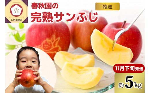 【2026年11月下旬発送】りんご5kg青森産春秋園の最高級「特選」大玉完熟サンふじ