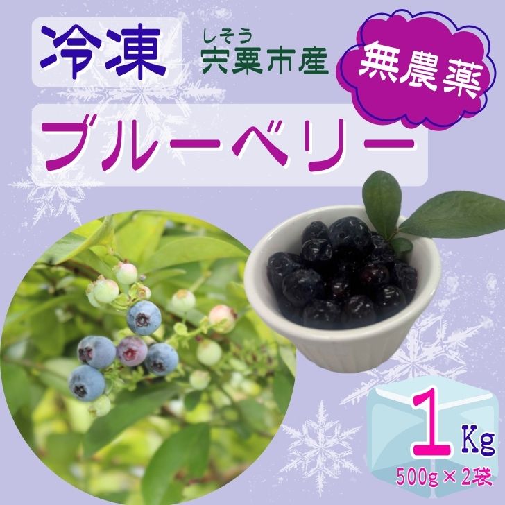 【ふるさと納税】ブルーベリー 無農薬 冷凍 1kg（500g×2）宍粟市産 産地直送 国産 大容量 冷凍 フローズン アイス ブルーベリー 果物 フルーツ K11