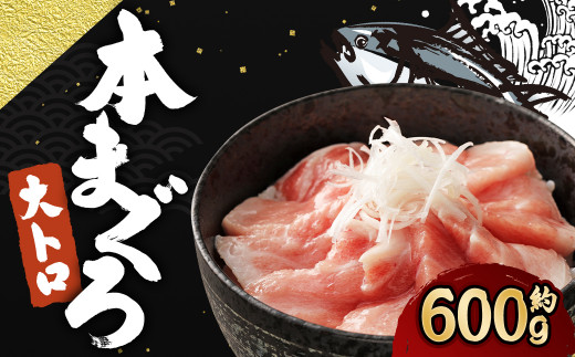 長崎県産 本マグロ「大トロ」約600g まぐろ マグロ 鮪 本鮪 本まぐろ 大とろ 柵 さく ブロック 刺身 さしみ 刺し身 国産まぐろ【大村湾漁業協同組合】
