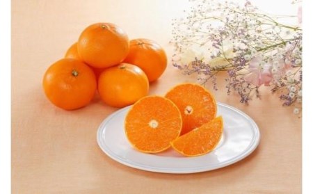 【先行受付】☆100セット限定☆JA特選品 せとか（赤秀L～3Ｌ 約3kg）【EN0021】