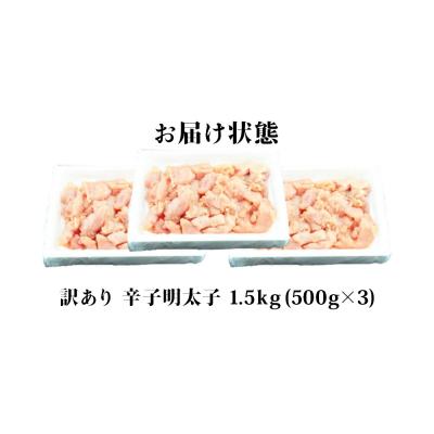 ふるさと納税 石巻市 明太子 訳あり 無着色 辛子明太子 1.5kg (500g×3) 規格外 不揃い ご家庭用 一口 |  | 02