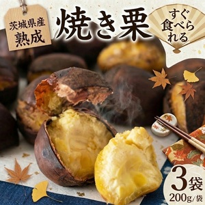 【 吉原農場 の 完熟栗 】 熟成 焼き栗 3袋 ( 200g × 3袋 )