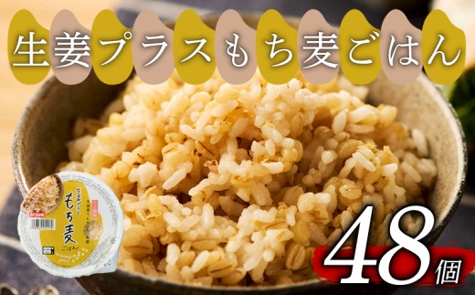 生姜プラスもち麦 ごはんパック 160g 48個 生姜 もち麦 麦 米 ごはん ご飯 こめ パックライス パックご飯 パックごはん ご飯パック ごはんパック パック ライス 備蓄 防災 保存 電子 レンジ 温めるだけ レンチン 簡単 調理 健康 美容 ヘルシー ダイエット レトルト インスタント おいしい 人気 おすすめ 国産 食物繊維 穀物 個包装 48 48食 おくさま印 大阪 松原