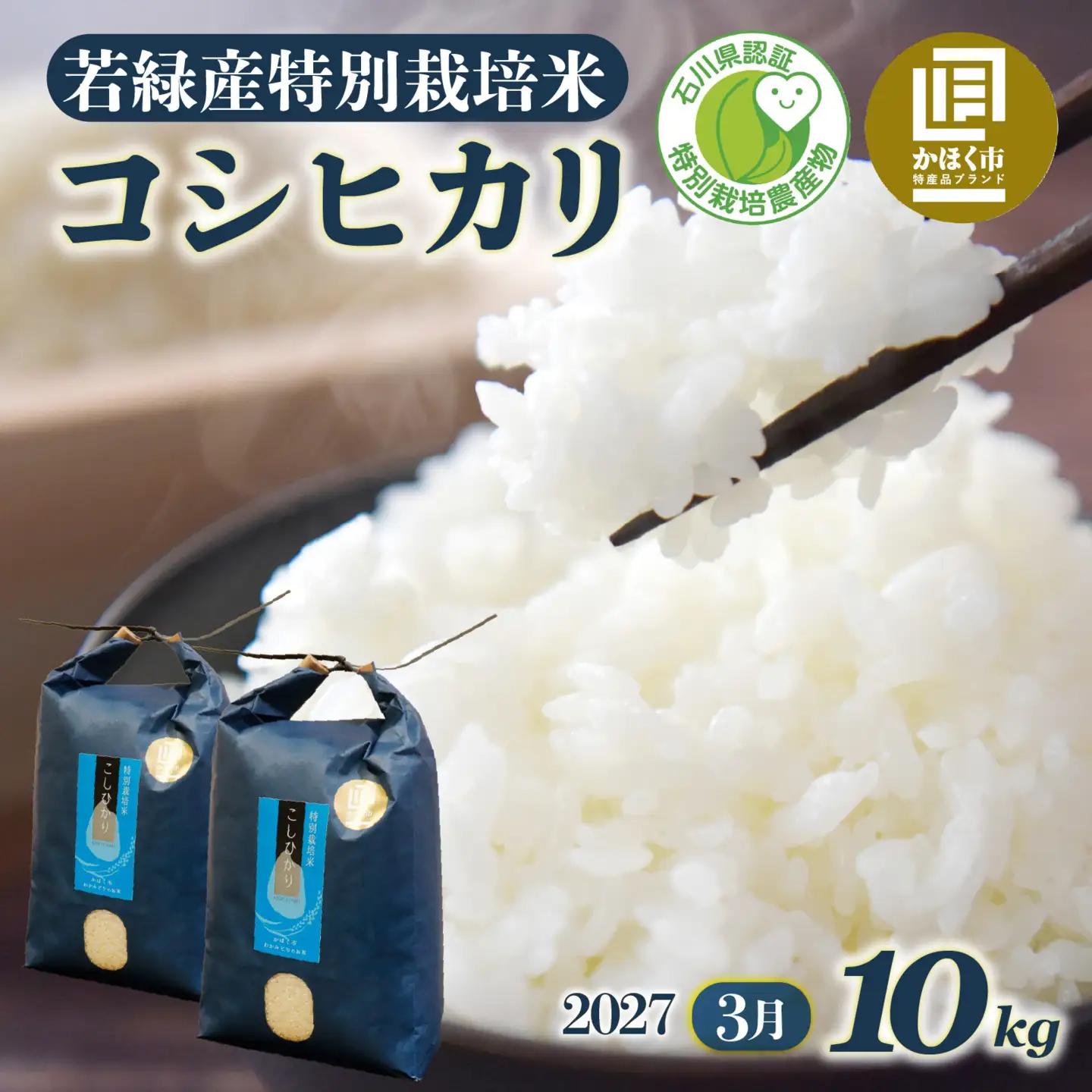【先行予約】こしひかり 10kg【2027年3月発送】｜ コシヒカリ お米