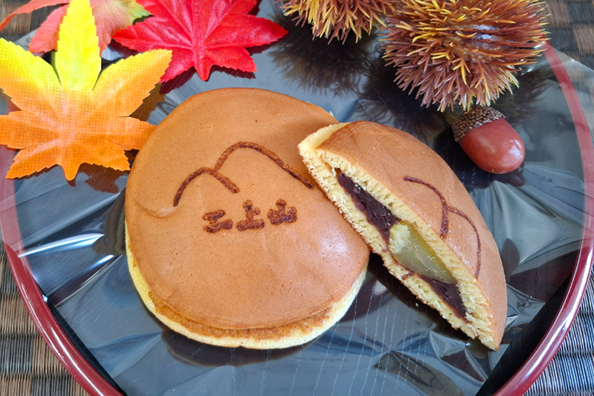 二上山どら焼き おすすめ10種アソート (合計10個)｜和菓子 どら焼き 奈良 お取り寄せ ギフト あんこ スイーツ [3155]