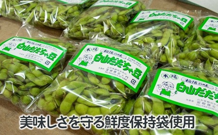 【令和8年産先行予約】本場鶴岡市白山産 とんとん農園のだだちゃ豆(早生系) 2kg袋　K-831