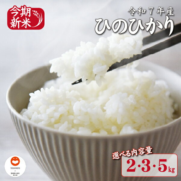 【ふるさと納税】【選べる内容量】【～永久の米～宮崎県住みます芸人チキンナンゴーお世話米】令和7年産 新米 ひのひかり 2kg~5kg（国産 米 新米 令和7年新米 ヒノヒカリ 精米 限定 ギフト 人気）
