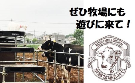 【彩の国優良ブランド】加藤牧場  ノンホモ低温殺菌牛乳を使用した甘みとコクが感じられるジェラート9個セット スイーツ お菓子 