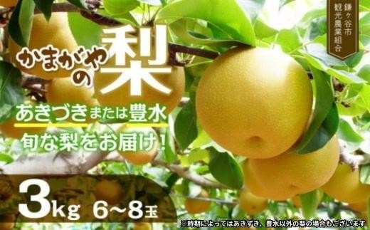 【2026年 先行予約】　かまがやの梨  豊水 あきづき など 旬の梨 をお届け 約3㎏