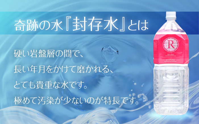 【全6回定期便】天然温泉水RYUSEKI 2L×8本－ペットボトル 日田市 / 株式会社竜石 [ARCD001]