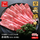 【ふるさと納税】【定期便6ヶ月】牛肉 飛騨牛 すき焼き しゃぶしゃぶ セット 赤身 モモ 又は カタ 600g 黒毛和牛 A5 美味しい お肉 牛 肉 和牛 すき焼き肉 すきやき すき焼肉 しゃぶしゃぶ肉 【岐阜県池田町】　定期便