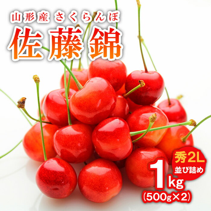 【ふるさと納税】さくらんぼ(佐藤錦)秀2L 1kg(500g×2)並び詰め FY19-101