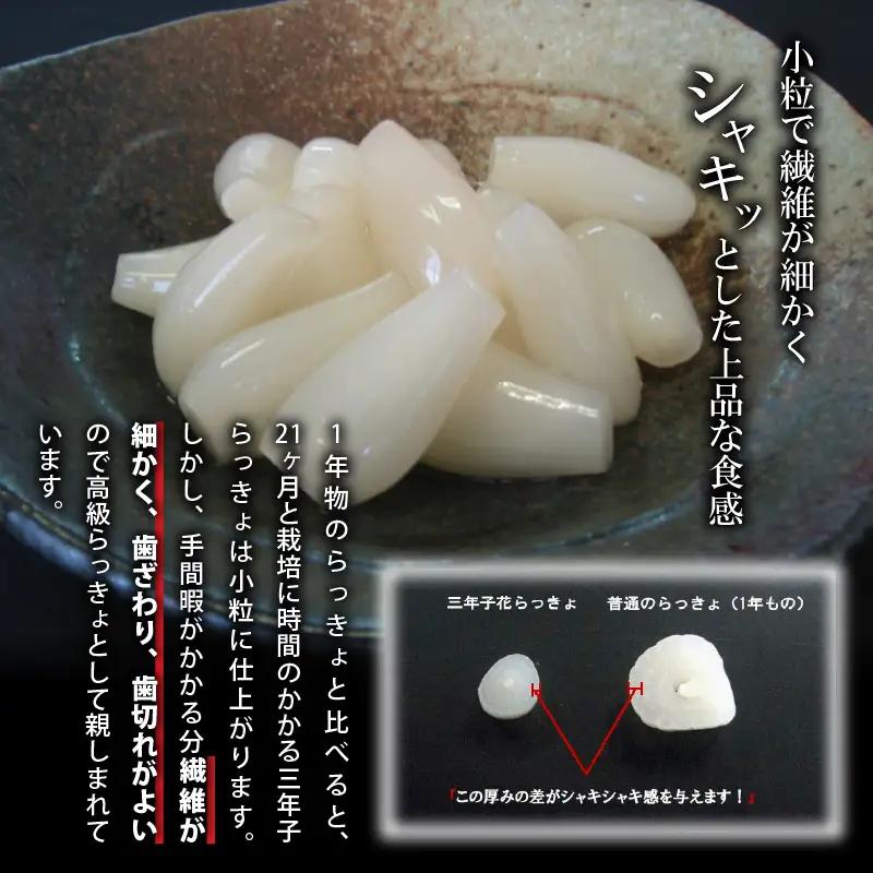 『こだわりの三年掘り栽培』 福井特産 三年子花らっきょギフト 【甘酢 漬け 国産 漬け物 お漬物 ラッキョウ らっきょう】 [B-0701]