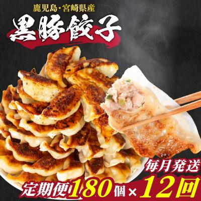 ふるさと納税 下関市 訳あり 黒豚餃子 12回 毎月 定期便180個 12個×15パック 冷凍 小分け 大容量 IB012