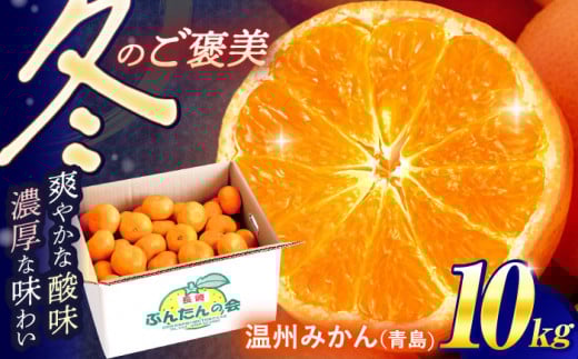【数量限定】高糖度系 温州みかん(青島) 約10kg【長崎ぶんたんの会】[OAF006] / みかん ミカン 柑橘 果物 フルーツ 柑橘類 みかん 温州みかん みかん 長崎県産みかん 産地直送 人気みかん 蜜柑 みかん