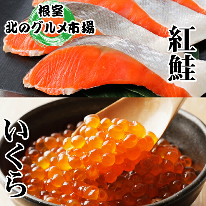 【ふるさと納税】【12月21日決済確定分まで年内配送】 いくら醤油漬 100g × 7P、紅鮭 5 切 × 7P イクラ 醤油 醤油漬 魚卵 鮭卵 鮭 さけ サケ しゃけ シャケ 魚 さかな サカナ 紅ざけ 紅ザケ べにざけ ベニザケ お取り寄せ グルメ 海鮮 切り身 北海道 根室市 D-76003