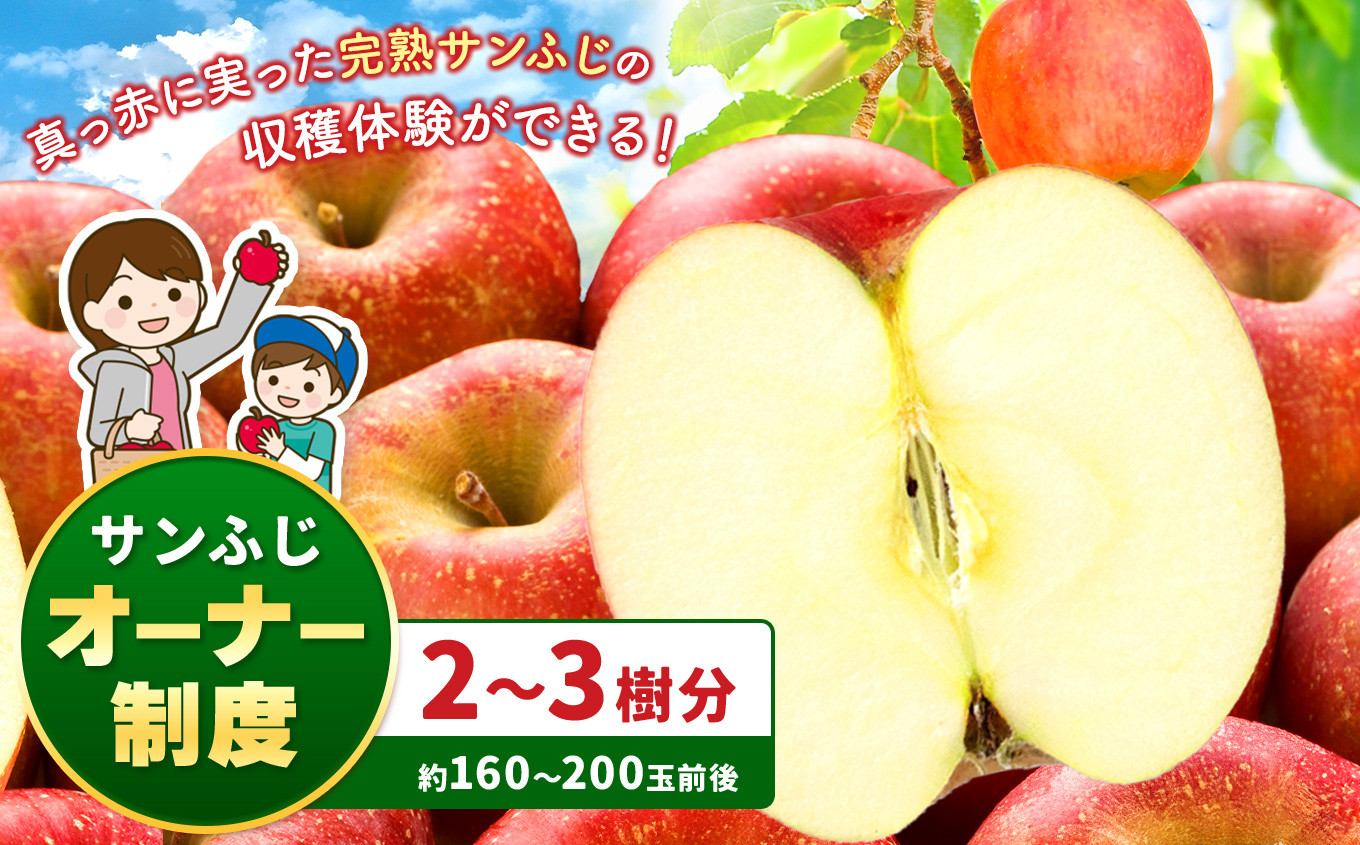 
            真っ赤々。たわわに実るサンふじ一区画、もぎ取ってお持ち帰り。サンふじオーナー制度　（最大２時間） ｜ サンふじ 林檎 りんご 長野県 松本市 信州産 さんふじ 果物 フルーツ ふるさと納税
          