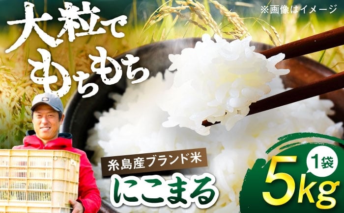 
            【令和7年産】 にこまる 玄米品質1等米 白米 5kg 糸島市産 糸島市 / 糸島の恵み コメ こめ ご飯 [AGR001]
          