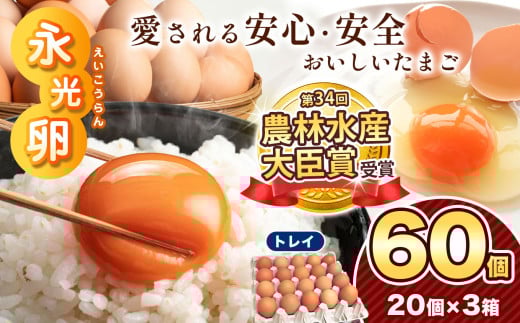 ＼ 2週間以内 に発送 ／ メディア紹介多数！ 永光卵 【 60個 】 卵 たまご トレイ | スピード発送 送料無料 えいこうらん 光永ファーム みつなが 安心 安全 おいしい卵 卵かけごはん プリン ゆうパック 君津市 きみつ 千葉県 すぐ届く