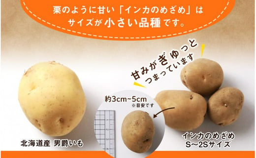 【2024年 新じゃが 】 インカのめざめ S～2Sサイズ 20kg いも 芋 じゃがいも ジャガイモ インカ 野菜 北海道 千歳