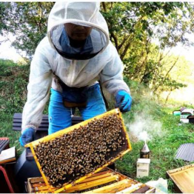 ふるさと納税 基山町 【毎月定期便】みよしの百花蜜 220g×3本全6回 |  | 03