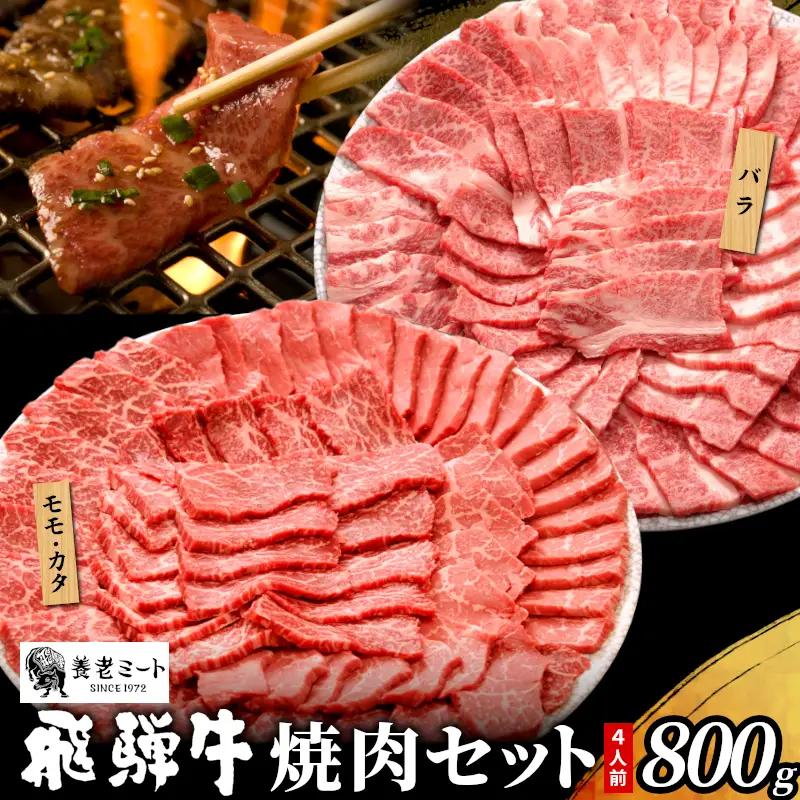 【最短発送】 贅沢！ 飛騨牛 焼肉セット 800g 4人前 牛肉 和牛 肉 焼肉 BBQ 霜降り カルビ 赤身 モモ カタ 東白川村 岐阜 養老ミート