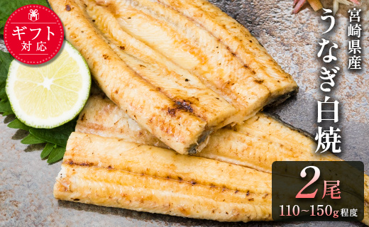 ［玄人の一品］うなぎ白焼き 2尾（110～150g程度/1尾）宮崎県産鰻 化粧箱入り 蒲焼タレ付（50ml×1本）【A2】