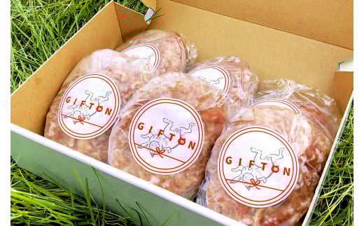 【 定期便 6か月 】岩手ブランド豚 四元豚 生ハンバーグ 150g×6個 GIFTON ギフト お歳暮 お中元 おせち 贈答 高級店の味 鉄板焼 ビール おつまみ 晩酌 お弁当 冷凍  ありすぽーく 北上市 ごえん株式会社 J0161