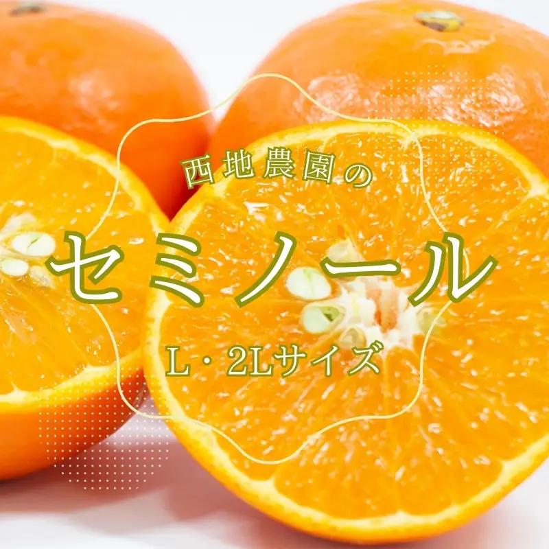 セミノール L 2L みかん 蜜柑 柑橘 5kg / L・2Lサイズのみ 西地農園のセミノール 5kg【2027年3月中旬から順次発送】【mnd005C】