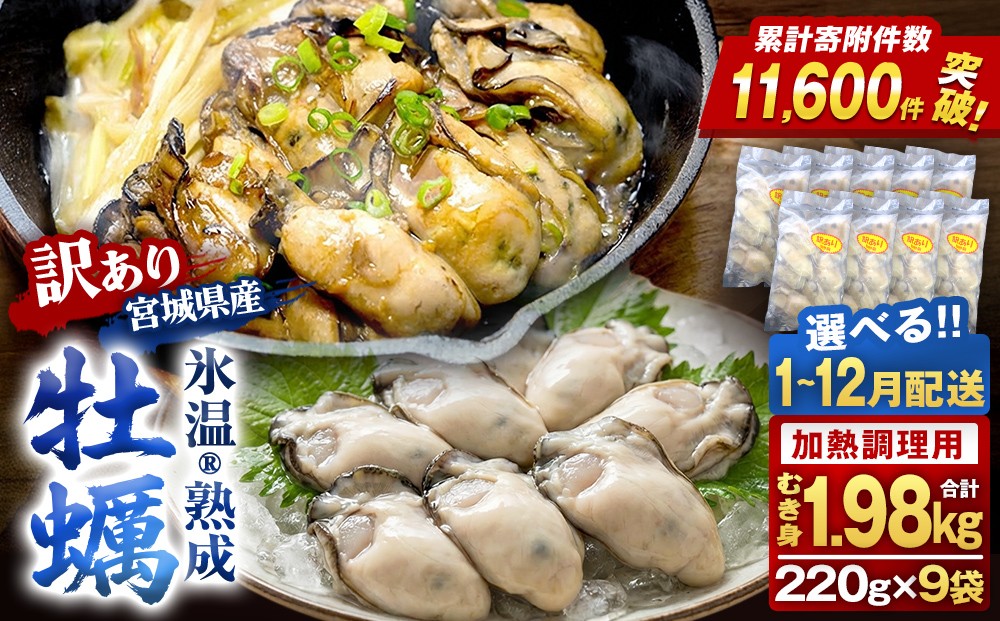 
                  《 配送月 が 選べる 》 牡蠣 ＜ 訳あり ＞ 氷温熟成 かき 220g × 9パック 加熱用 むき身 冷凍 バラ冷凍 個包装 カキ 不揃い 魚貝類 貝類 海の幸 BBQ バーベキュー 海の幸 おつまみ 宮城県 石巻市 石巻 宮城 まるたか水産
                