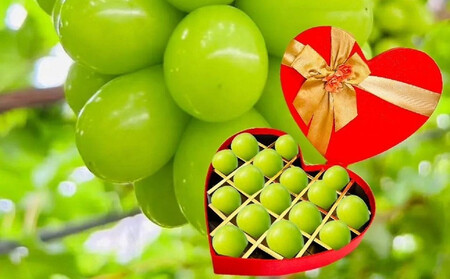 岡山県産シャインマスカットＪｅｗｅｌｒｙ ｂｏｘ赤化粧箱入り18粒贈答用