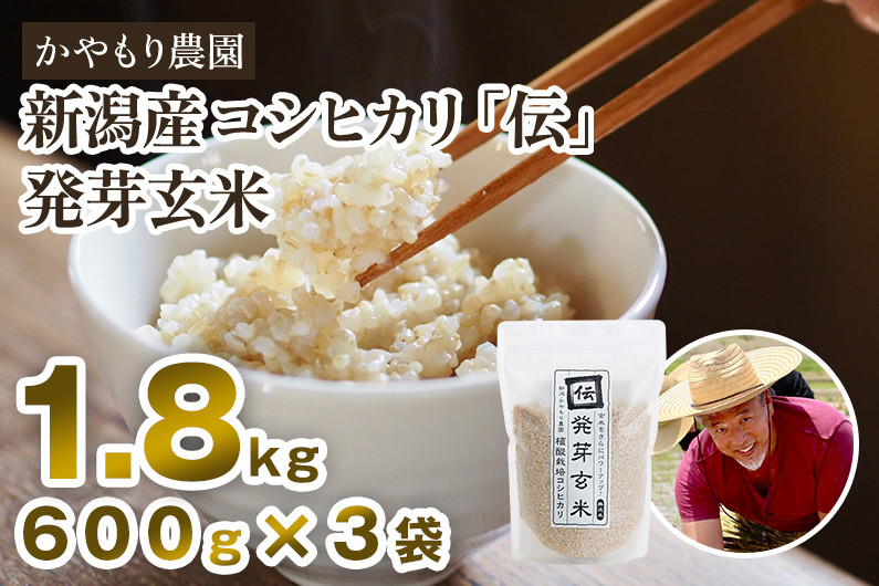 
            【令和6年産米】[発芽玄米] 新潟産コシヒカリ「伝」発芽玄米1.8kg（600g×3袋）かやもり農園
          